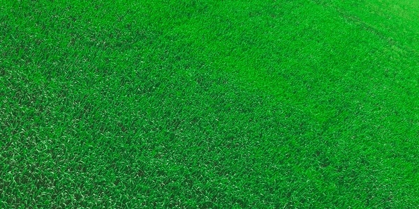 Facebook账号购买